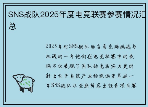 SNS战队2025年度电竞联赛参赛情况汇总